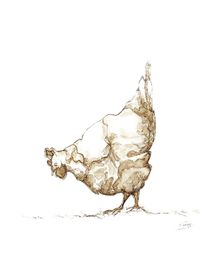 04_huhn (1)